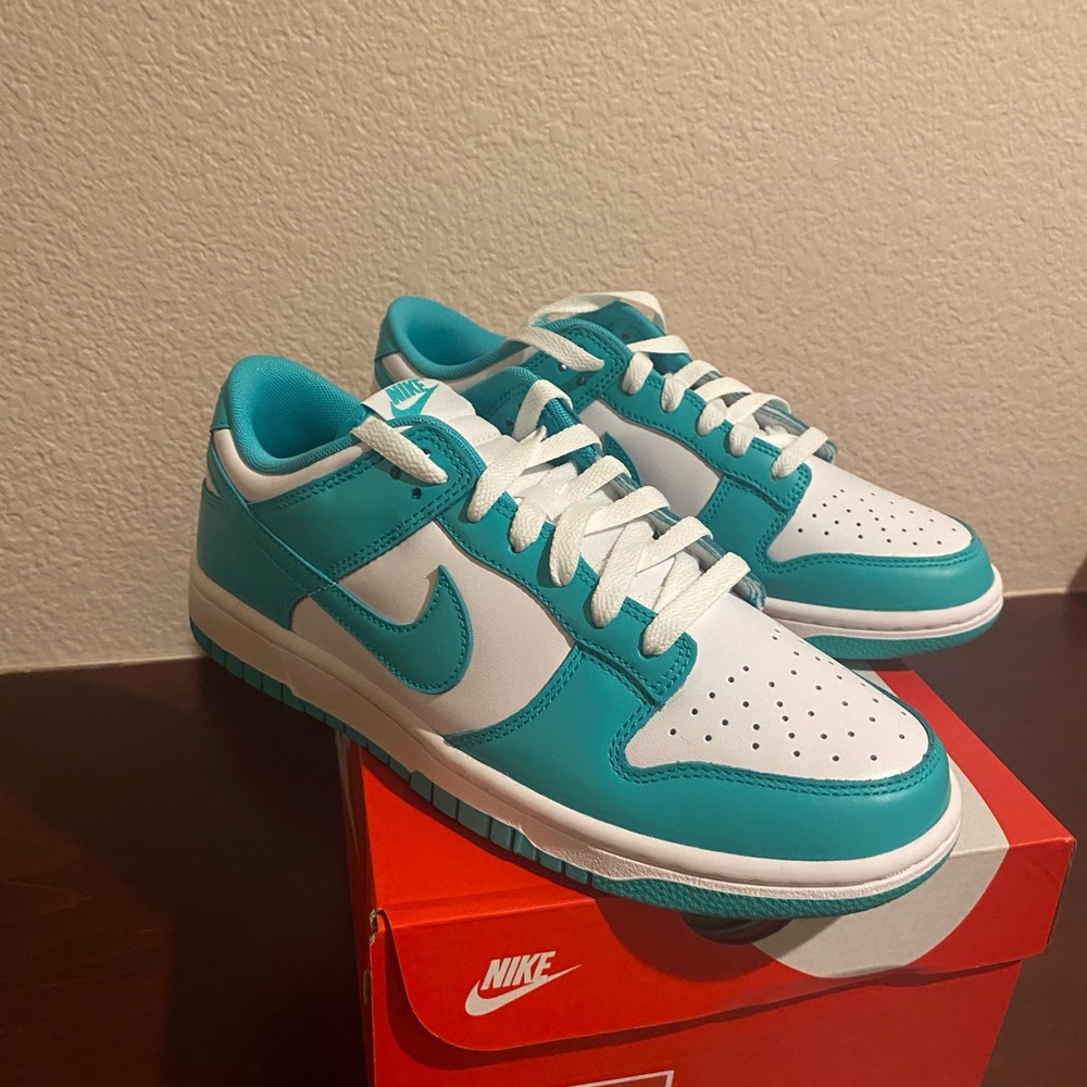 Clear jade Nike dunk (never worn) with box